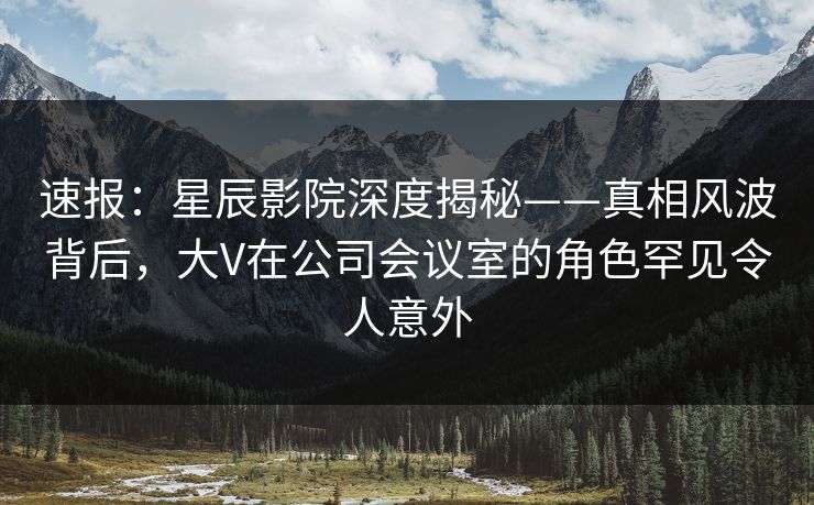 速报：星辰影院深度揭秘——真相风波背后，大V在公司会议室的角色罕见令人意外