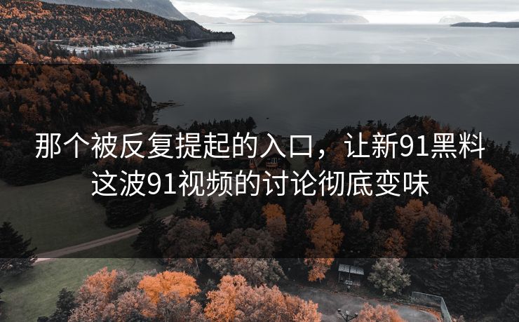 那个被反复提起的入口，让新91黑料这波91视频的讨论彻底变味